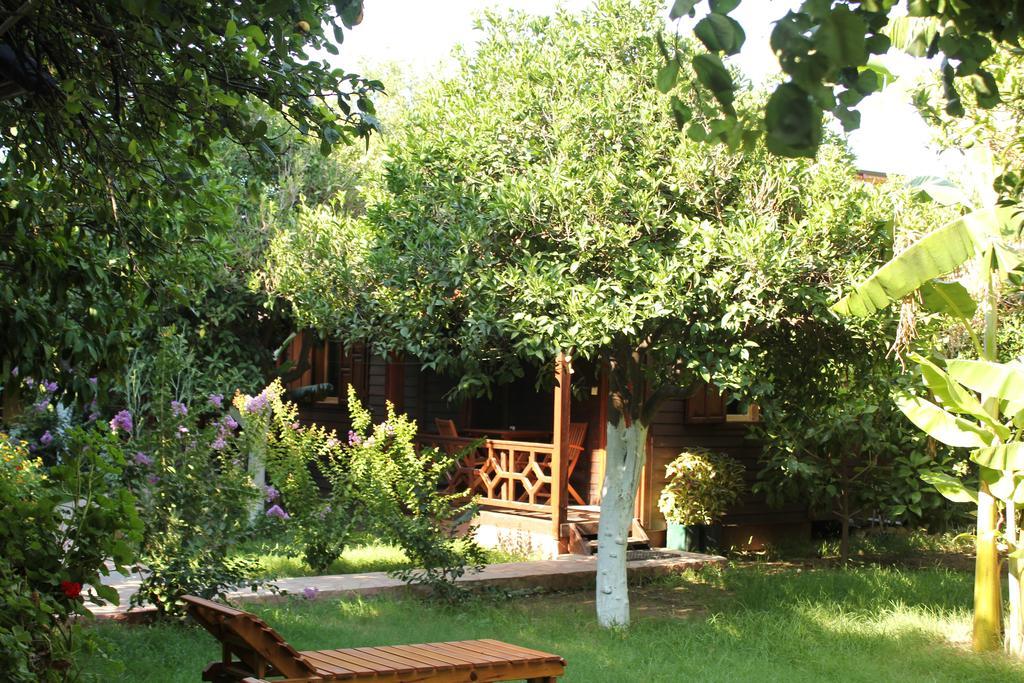 Grand Aygun Hotel Çıralı Habitación foto