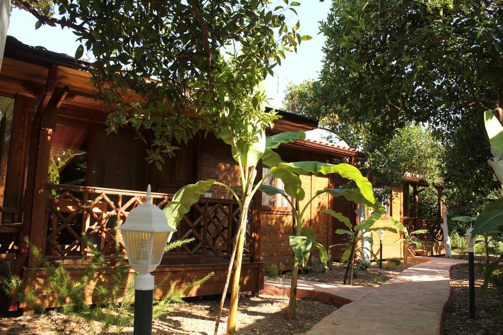Grand Aygun Hotel Çıralı Habitación foto